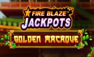 Golden Macaque 10 Free Spins No Deposit required
