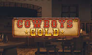 Cowboys Gold 10 Free Spins No Deposit required