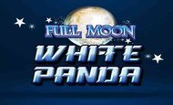 Full Moon White Panda 10 Free Spins No Deposit required