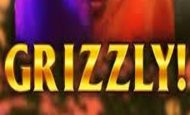 Grizzly Gold 10 Free Spins No Deposit required