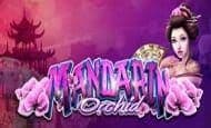 Mandarin Orchid 10 Free Spins No Deposit required