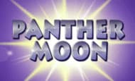Panther Moon 10 Free Spins No Deposit required