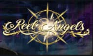 Reel Angel 10 Free Spins No Deposit required