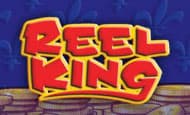 Reel King 10 Free Spins No Deposit required