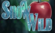 Snow Wild 10 Free Spins No Deposit required