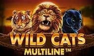 Wild Cats Multiline 10 Free Spins No Deposit required