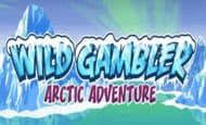 Wild Gambler Arctic Adventure 10 Free Spins No Deposit required