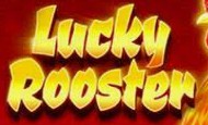 Lucky Rooster 10 Free Spins No Deposit required