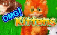 OMG Kittens 10 Free Spins No Deposit required